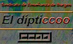 el_dipticcoo_burgos copia.jpg
